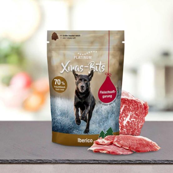 fit bits iberico